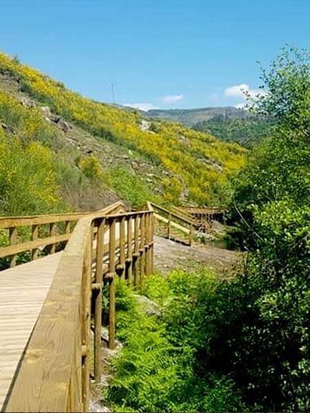 Natureza